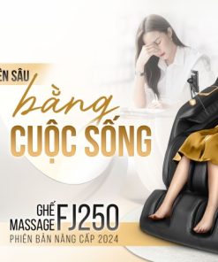 Ghế massage Fujilux FJ250 - 29 Ghế massage Fujilux FJ250 - 28
