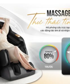 Ghế massage Fujilux FJ250 - 21 Ghế massage Fujilux FJ250 - 20