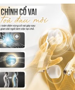 Ghế massage Fujilux FJ250 - 27 Ghế massage Fujilux FJ250 - 26