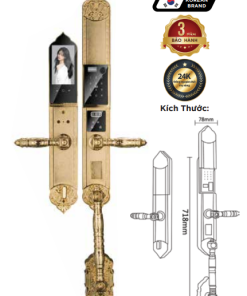 Khóa điện tử Hyundai HY SLC8818 Gold