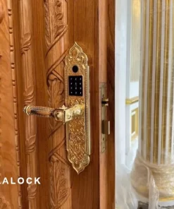 Khóa điện tử KASSLER KL 919 PRO GOLD - 21