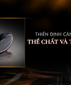 Ghế massage Fujilux FJ S99 CULLINAN - 8 Ghế massage Fujilux FJ S99 CULLINAN