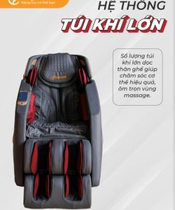 Ghế massage Fujilux FC779 - 25 Ghế massage Fujilux FC779 - 24