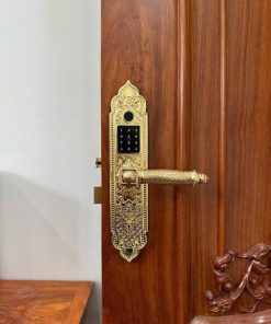 Khóa điện tử KASSLER KL 919 PRO GOLD - 33