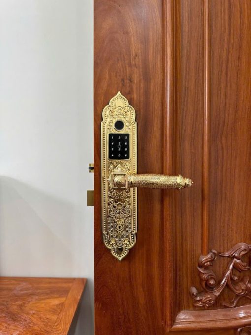 Khóa điện tử KASSLER KL 919 PRO GOLD - 15