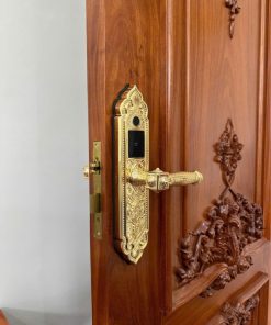 Khóa điện tử KASSLER KL 919 PRO GOLD - 35