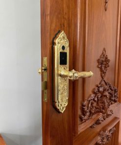 Khóa điện tử KASSLER KL 919 PRO GOLD - 25