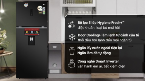 TỦ LẠNH LG INVERTER GN D392BLA
