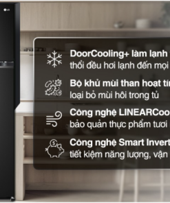 TỦ LẠNH LG INVERTER GV B262WB