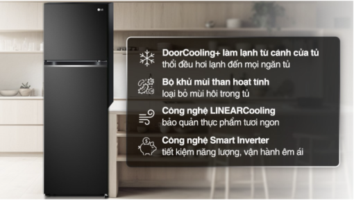 TỦ LẠNH LG INVERTER GV B262WB
