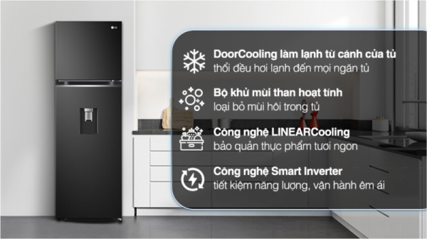 TỦ LẠNH LG INVERTER GV D262BL