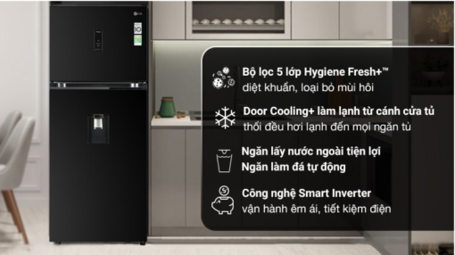 TỦ LẠNH LG INVERTER GN D372BLA