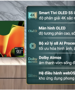 SMART TIVI OLED 4K 55 INCH LG 55B4PSA