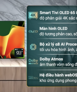 SMART TIVI OLED 4K 65 INCH LG 65B4PSA