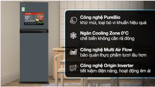 TỦ LẠNH TOSHIBA INVERTER GR RT303WE PMV(52)