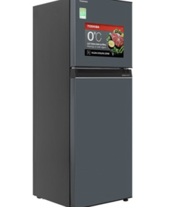 TỦ LẠNH TOSHIBA INVERTER GR RT303WE PMV(52) - 17