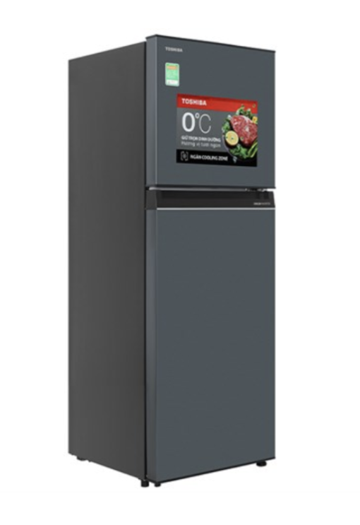 TỦ LẠNH TOSHIBA INVERTER GR RT303WE PMV(52) - 7
