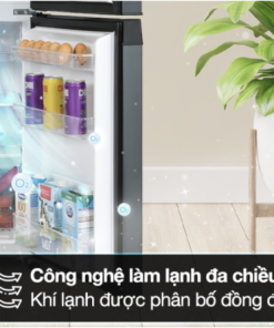 TỦ LẠNH TOSHIBA INVERTER GR RT252WE PMV(52) - 15