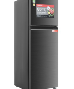 TỦ LẠNH TOSHIBA INVERTER GR RT468WE PMV(58) MM - 13