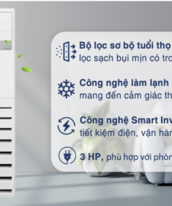 MÁY LẠNH TỦ ĐỨNG LG INVERTER ZPNQ30GR5E0