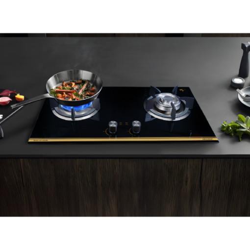 Bếp gas âm GrandX GX GS299D - 5