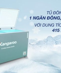 Tủ đông Kangaroo KG415G2D - 25