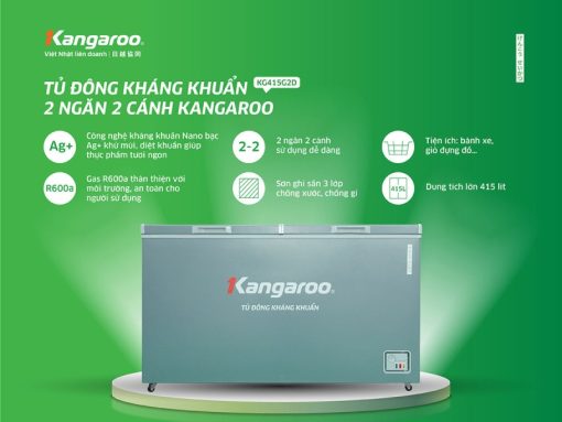 Tủ đông Kangaroo KG415G2D - 3