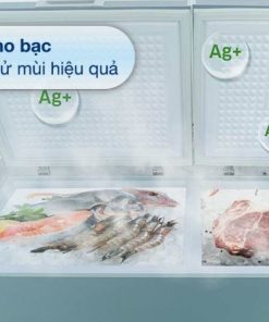 Tủ đông Kangaroo KG415G2D - 23