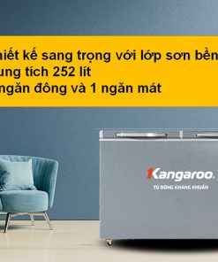 Tủ đông Kangaroo KGFZ318NG2 - 19