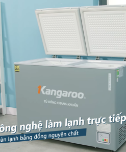 Tủ đông Kangaroo KGFZ312NK2 - 27