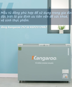 Tủ đông Kangaroo KGFZ312NK2 - 29