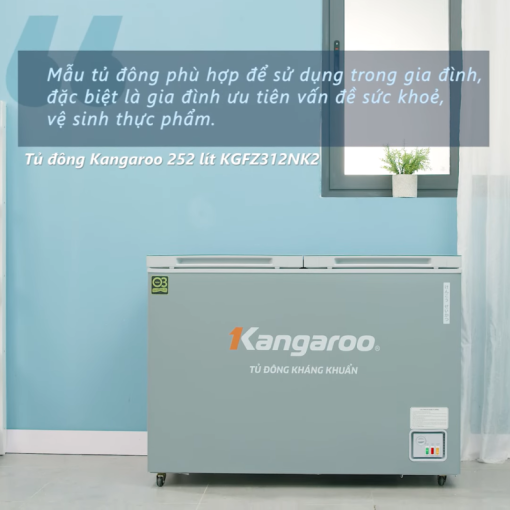 Tủ đông Kangaroo KGFZ312NK2 - 15