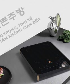 BẾP TỪ ĐƠN HAWONKOO CEH-107-BA (KÈM NỒI) - 39