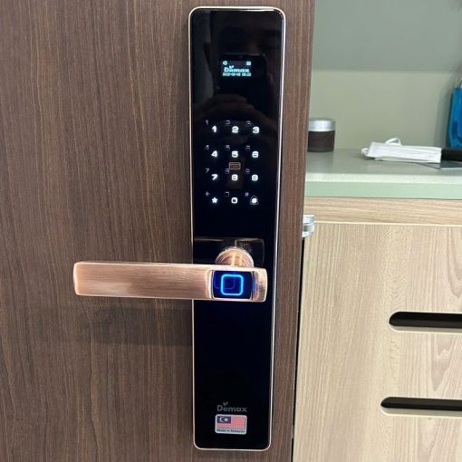 Khóa vân tay APP WIFI DEMAX EL-C626 CG màn hình chuông - 5