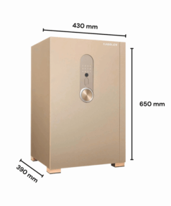 Két sắt KASSLER KL-65H8 Gold