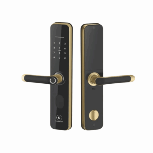 KHÓA ĐIỆN TỬ KASSLER KL-696 GOLD APP REMOTE