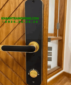 KHÓA ĐIỆN TỬ KASSLER KL-696 GOLD APP REMOTE - 10 KHÓA ĐIỆN TỬ KASSLER KL-696 GOLD APP REMOTE