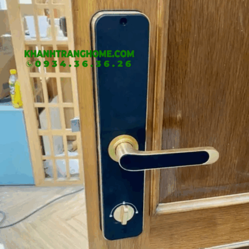 KHÓA ĐIỆN TỬ KASSLER KL-696 GOLD APP REMOTE
