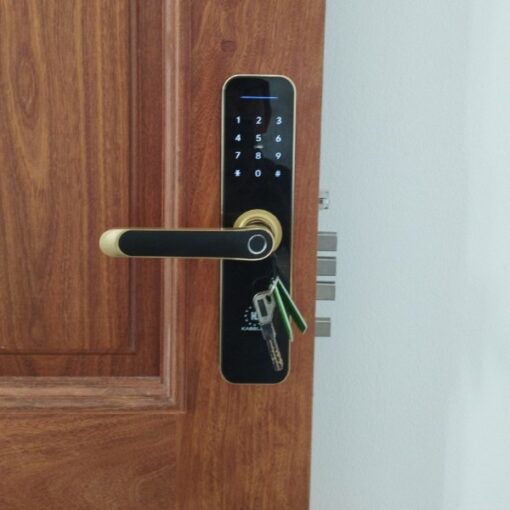 Khóa vân tay Kassler KL-668 APP GOLD REMOTE