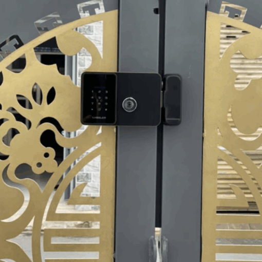 Khóa cửa cổng Kassler KL-579 CNC GOLD GREY APP+REMOTE (WIFI)