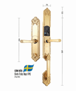 Khóa đại sảnh DEMAX EL819 Gold