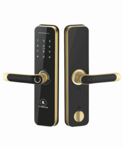 Khóa vân tay Kassler KL-668 APP GOLD REMOTE