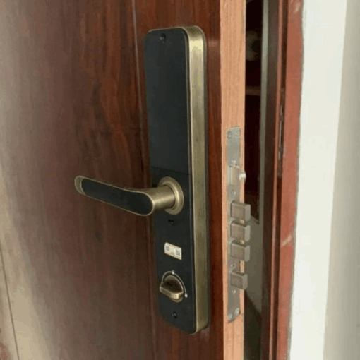 Khóa vân tay Kassler KL-696 APP GREEN BRONZE REMOTE