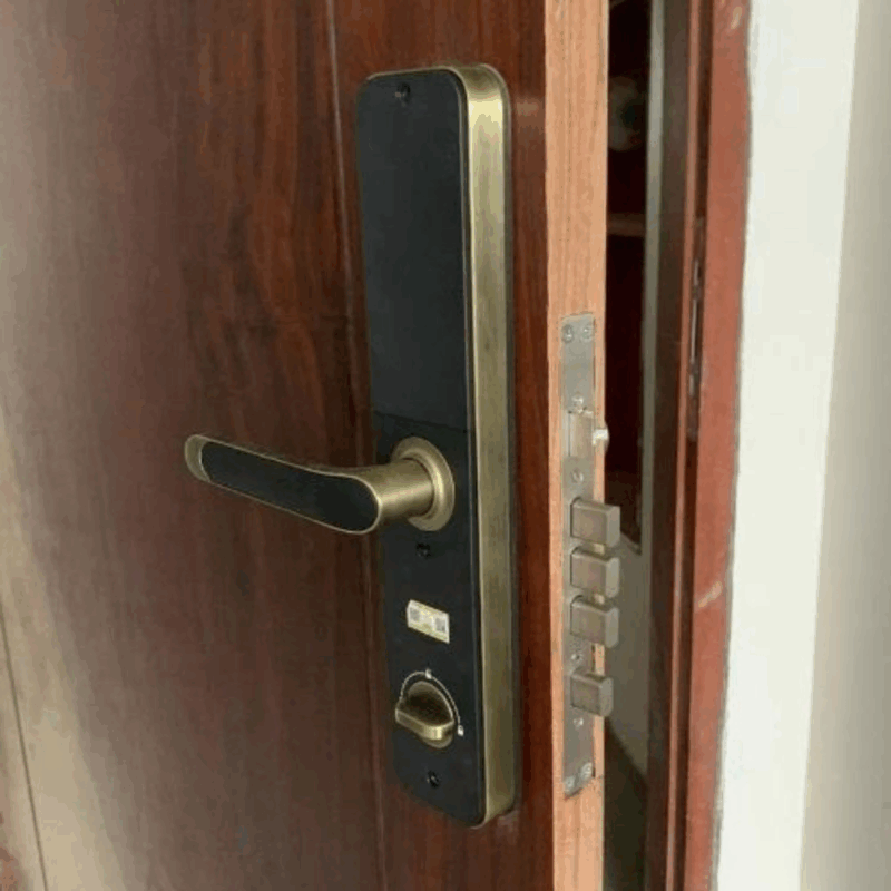 Khóa vân tay Kassler KL-696 APP GREEN BRONZE REMOTE - 13 Khóa vân tay Kassler KL-696 APP GREEN BRONZE REMOTE