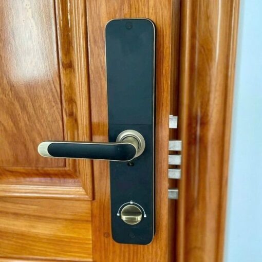 Khóa vân tay Kassler KL-696 APP GREEN BRONZE REMOTE