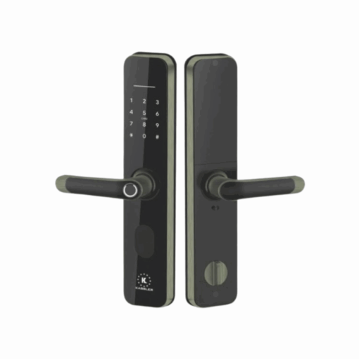 Khóa vân tay Kassler KL-696 APP GREEN BRONZE REMOTE