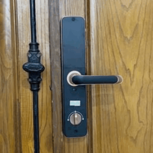 Khóa vân tay Kassler KL-696 APP RED BRONZE REMOTE - 8