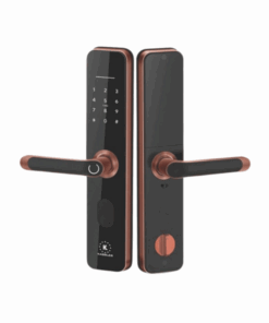 Khóa vân tay Kassler KL-696 APP RED BRONZE REMOTE