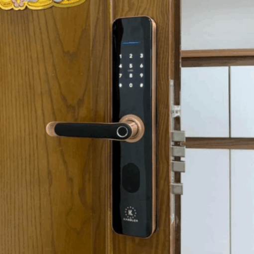 Khóa vân tay Kassler KL-696 APP RED BRONZE REMOTE - 6