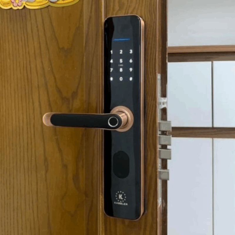 Khóa vân tay Kassler KL-696 APP RED BRONZE REMOTE - 27 Khóa vân tay Kassler KL-696 APP RED BRONZE REMOTE